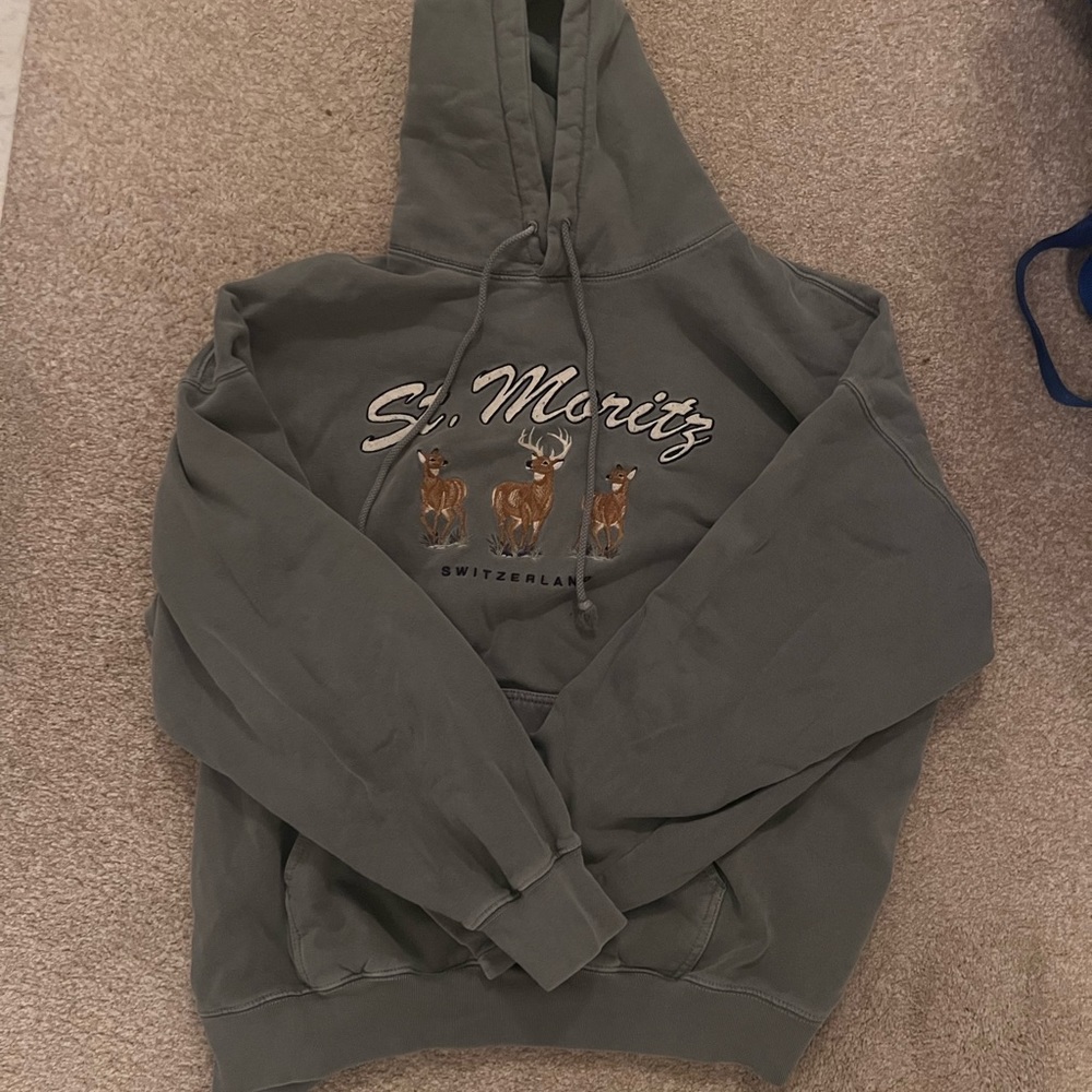 brandy melville st moritz hoodie